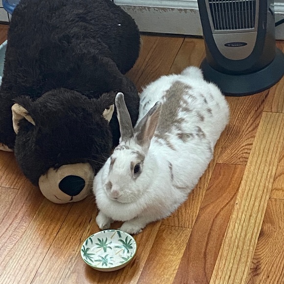 Meet your Posher, TGIF - Picture 3 of 4